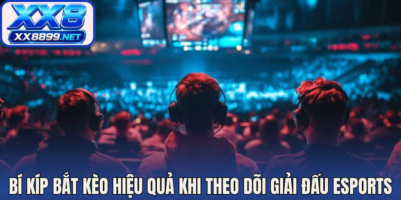 Bí kíp bắt kèo hiệu quả khi theo dõi giải đấu esports
