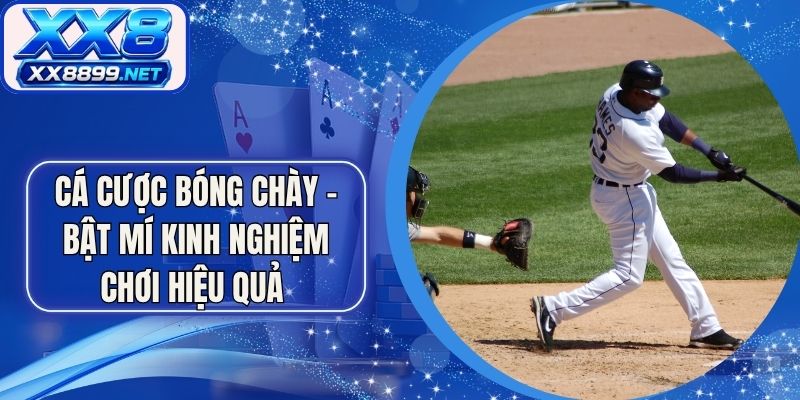 Cá Cược Bóng Chày - Bật Mí Kinh Nghiệm Chơi Hiệu Quả