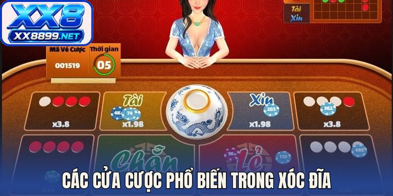 Các cửa cược phổ biến trong xóc đĩa