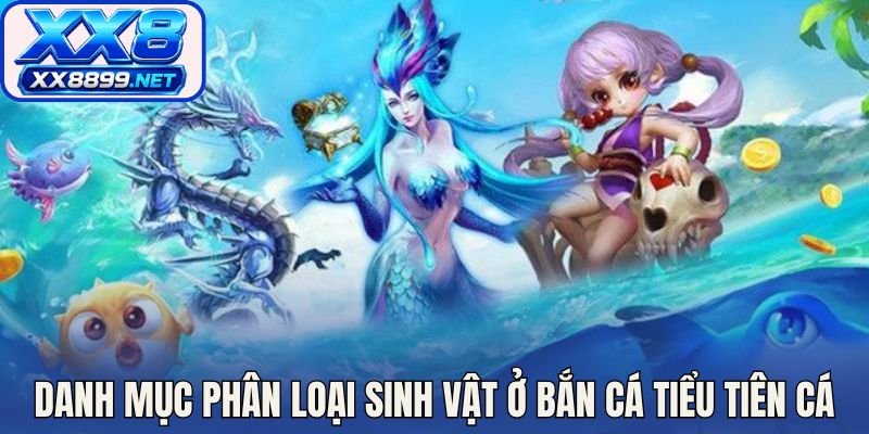 Danh mục phân loại sinh vật ở bắn cá tiểu tiên cá