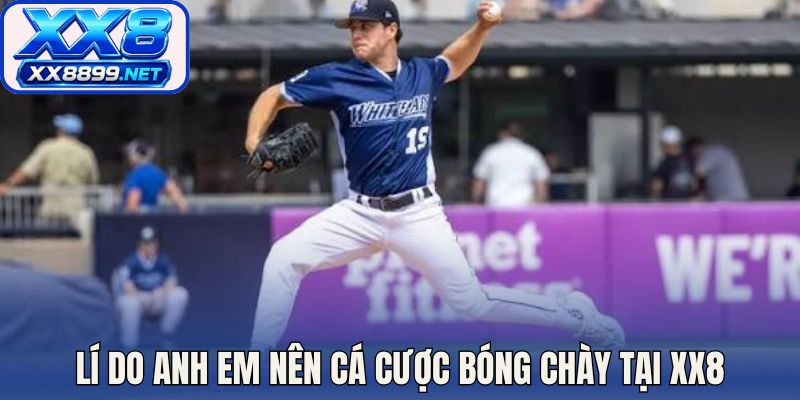 Lí do anh em nên cá cược bóng chày tại XX8