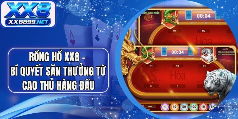 Rồng Hổ XX8 - Bí Quyết Săn Thưởng Từ Cao Thủ Hàng Đầu