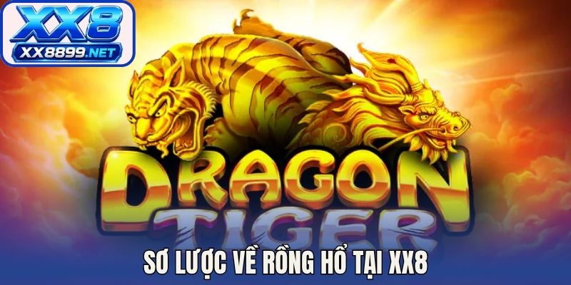Sơ lược về rồng hổ tại XX8